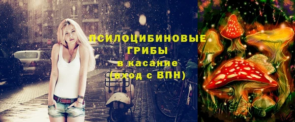 сатива Балахна