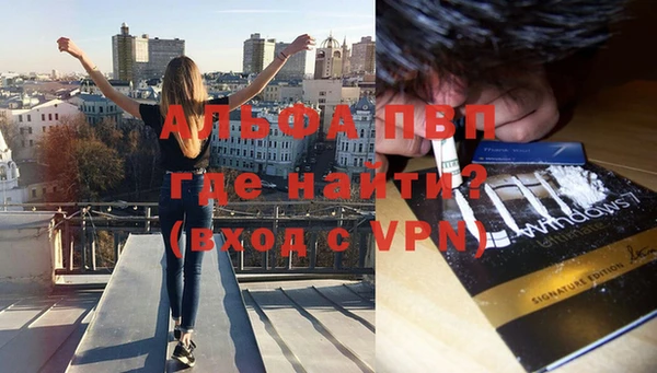 сатива Балахна