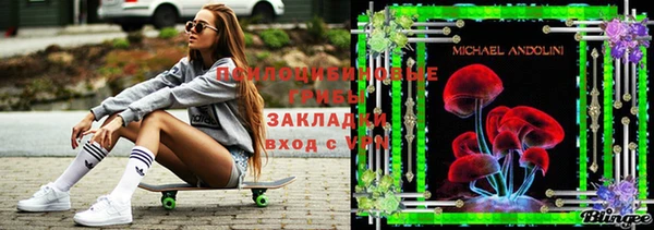 сатива Балахна
