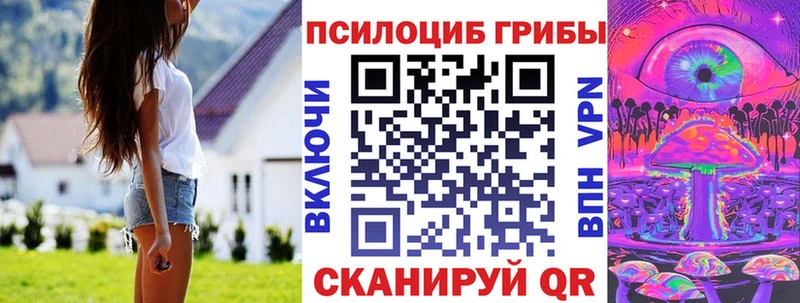 OMG маркетплейс  дарнет шоп  Сегежа  Псилоцибиновые грибы ЛСД 